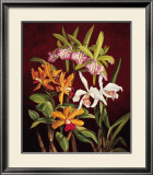 Orchid Trio II Prints by Rodolfo Jimenez