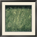 Moonlight Shadow Prints by Giancarlo Abeni