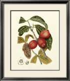Island Fruits III Prints by Berthe Hoola Van Nooten