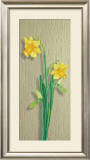 Narcissus Posters by M. Allegri