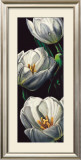 Dewdrop Tulips Posters by Alma'ch 