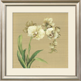 Asian Orchid Poster by Lynne Misiewicz