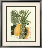 Island Fruits IV Print by Berthe Hoola Van Nooten