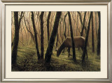 Day's End Print by Shawn Gould