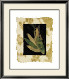 Floral Noir II Prints by Phillip Jaeger