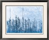Pastoral Vision Limited Edition Framed Print by Lilli Farrell