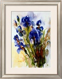 Iris Posters by J. Hammerle
