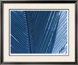 Tropical Zen I Limited Edition Framed Print by Lilli Farrell