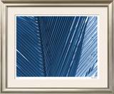 Tropical Zen I Limited Edition Framed Print by Lilli Farrell