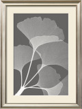 Ginkgos II Prints by Steven N. Meyers