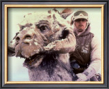 Star Wars Posters