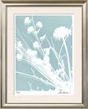 Flower Shadow II Limited Edition Framed Print by Lois Bender