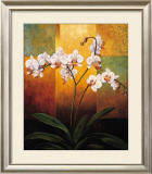 Orchids Poster by Jill Deveraux