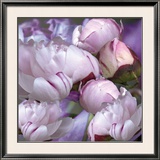 Pivoines, 2008 Prints by Anne Montiel