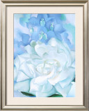 White Rose W/ Lakspur No.2 Prints by Georgia O'Keeffe