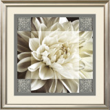 Dahlia Icon II Prints by Christine Elizabeth