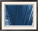 Tropical Zen II Limited Edition Framed Print by Lilli Farrell