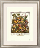 Twelve Months of Fruits, 1732, July Posters by Robert Furber