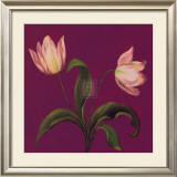 Moon Shadows II Prints by Mimi Roberts