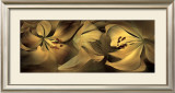 Lilies No. 35 Prints by Huntington Witherill