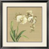 Asian Orchid Posters by Lynne Misiewicz