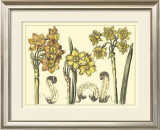 Narcissus in Bloom I Prints by Langlois 