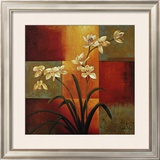 White Orchid Prints by Jill Deveraux