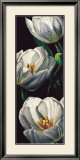 Dewdrop Tulips Print by Alma'ch 
