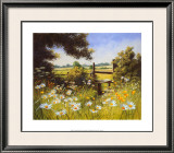 On the Footpath Print by Mary Dipnall