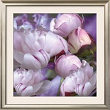 Pivoines, 2008 Posters by Anne Montiel