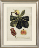 Crackled Paradise Foliage II Poster