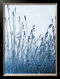 Pastoral Gesture Limited Edition Framed Print by Lilli Farrell