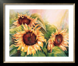 Sunflower Trio Prints by Renée Mizgala