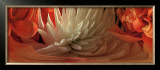 Dahlias IV Posters by Huntington Witherill