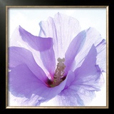 Ballerina Print by Ingrid Ulmer