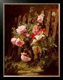 Pink Roses by a Garden Fence Posters by Alfred-Frederic Lauron