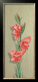 Orchid Prints by M. Allegri