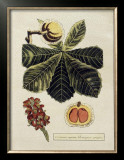 Crackled Paradise Foliage II Prints