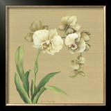 Asian Orchid Prints by Lynne Misiewicz