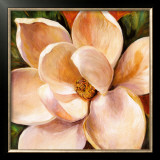Magnolia Glow II Art by Liv Carson