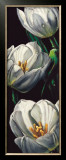 Dewdrop Tulips Prints by Alma'ch 