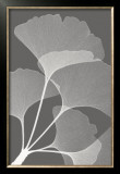 Ginkgos II Posters by Steven N. Meyers