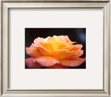 Untitled Print by Martina Schroder