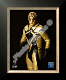 Gold Dust Framed Photographic Print