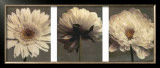 Daisy and Dahlia Prints by Dianne Poinski