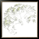 Viburnum, 2006 Poster by Anne Montiel