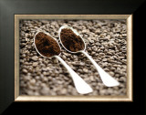 Roast and Ground Coffee Posters by Sara Deluca