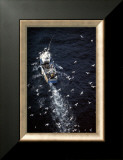 Fish in Sea Posters by Jean-Marie Liot