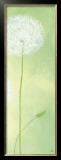 Delicateness of the Dandelion III Prints by Sabine Mannheims