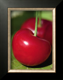Bigarreau Cherries I Posters by Sara Deluca